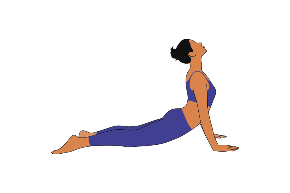 Urdhva Mukha Svanasana (Or Upward-Facing Dog Pose)