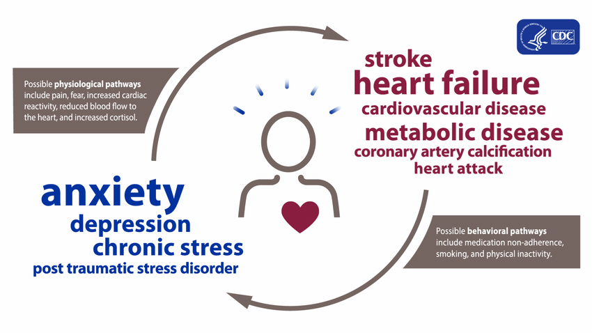 CDC diagram of interrelationship
